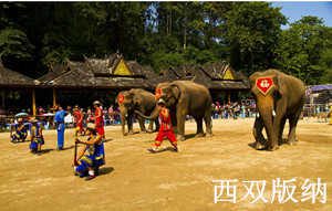 北海到云南旅游价格