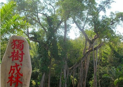 北海到云南旅游最新路线