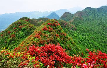北海到遵义旅游