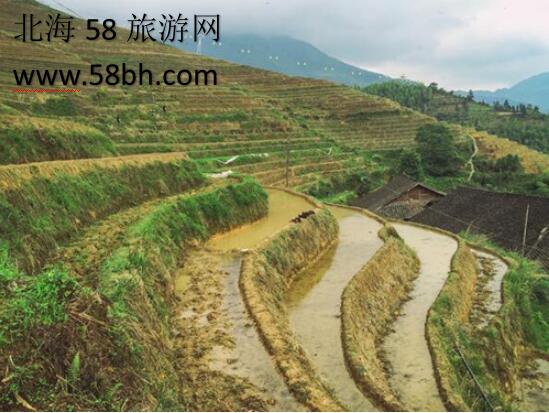 桂林龙脊梯田