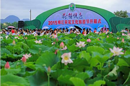 柳江,荷花,旅游节,