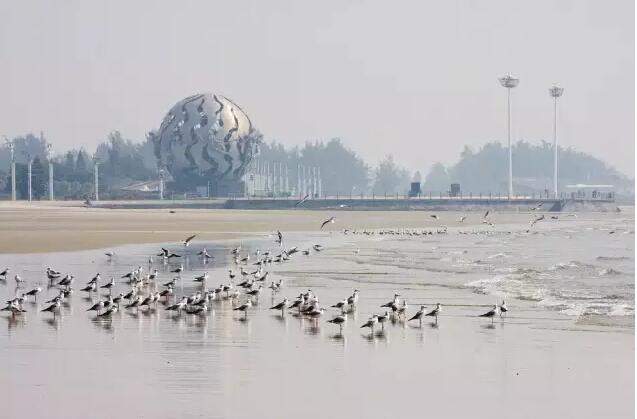 北海,旅游,换个,角度,看,更,美丽,广西,