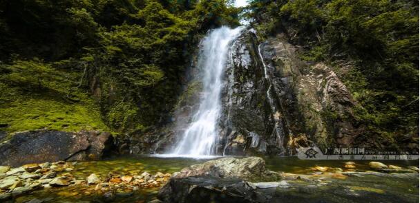 贺州,旅游,姑婆山,国家,森林公园,