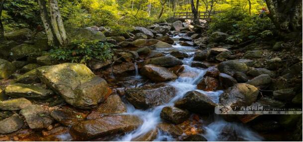 贺州,旅游,姑婆山,国家,森林公园,