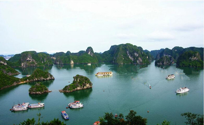 报团去越南旅游要多少钱