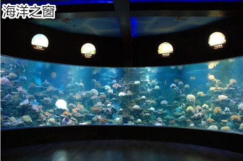 暑假到北海旅游,广西北海旅行社,