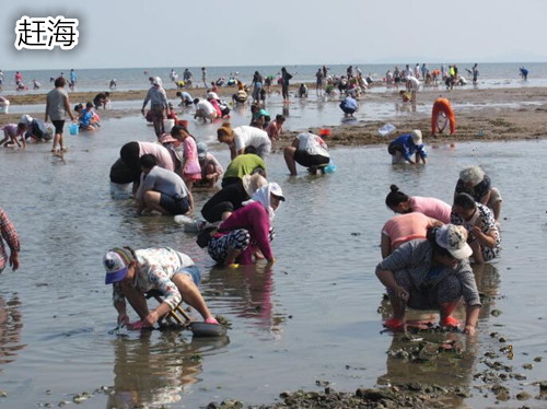 暑假到北海旅游,广西北海旅行社,