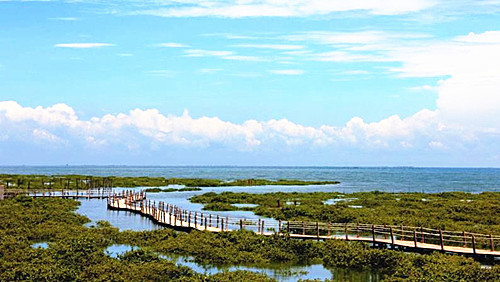 暑假到北海旅游,广西北海旅行社,