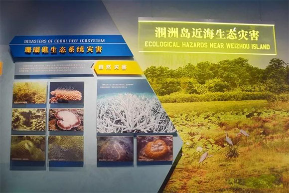 涠洲岛地质博物馆