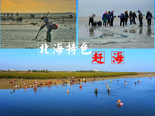 北海市内一日游,广西北海旅行社,