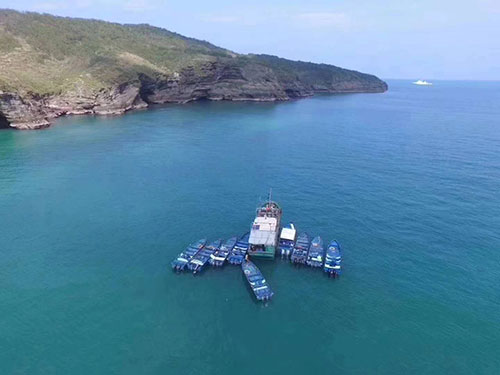 春节到涠洲岛旅游值得去,广西北海旅行社,