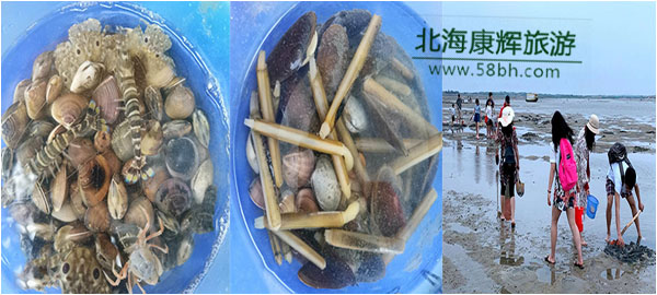 北海赶海你选对地方了吗