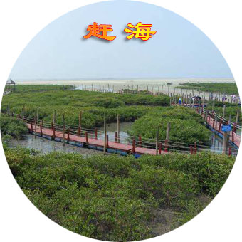 北海红树林赶海要钱吗