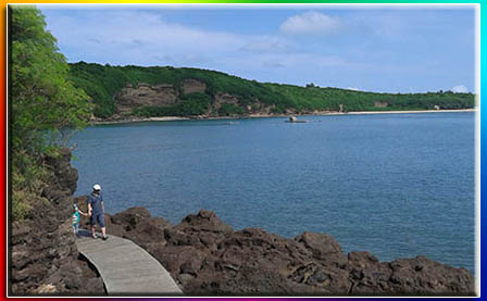 北海涠洲岛旅游,广西北海康辉旅行社,