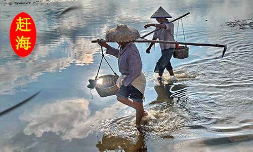 北海旅游赶海,