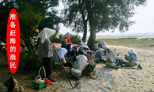 北海旅游赶海,