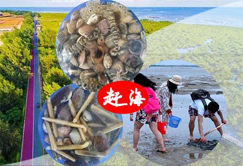 北海旅游景点,赶海捕鱼,