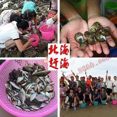 贵阳,到,北海旅游,5天4晚,