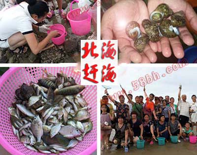 崇左,到,北海涠洲岛,旅游,