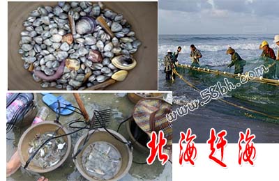 从,桂林,去,北海旅游,4天3晚,