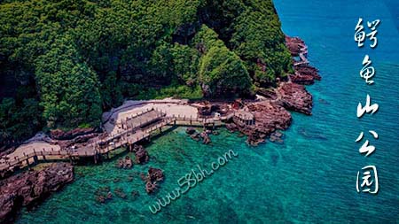 百色,去,涠洲岛,旅游,要,玩,几天,