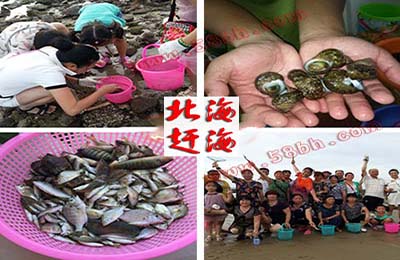 从,南宁,去,北海旅游,要,玩,几天,