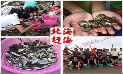 从,长沙,去,涠洲岛,旅游,要,玩,几天,