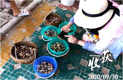 广西北海旅行社,南京,北海旅游,