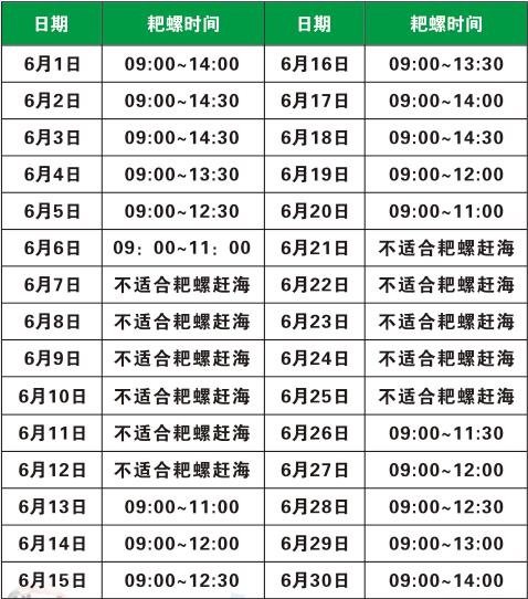 广西北海旅游,北海红树林赶海
