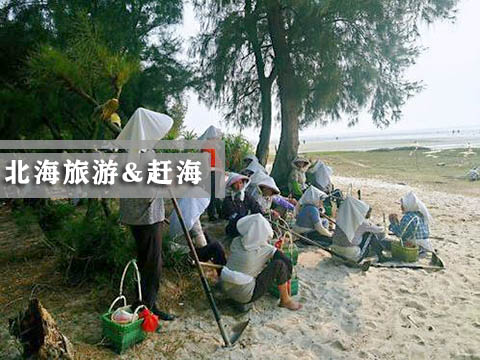 北海赶海包括哪些项目,广西北海旅游