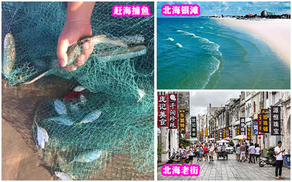昆明到北海旅游攻略，广西北海旅行社