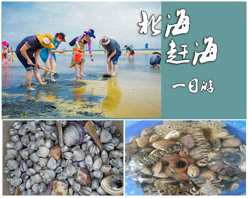 北海赶海，广西北海旅行社