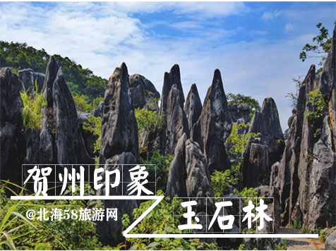 贺州玉石森，广西北海旅行社