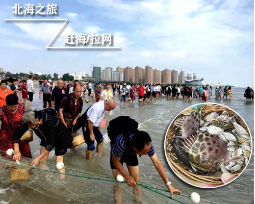 北海珠乡赶海潮汐时刻表，广西北海旅游