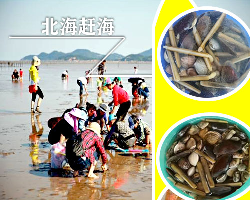 北海赶海潮汐时刻表，广西北海旅游