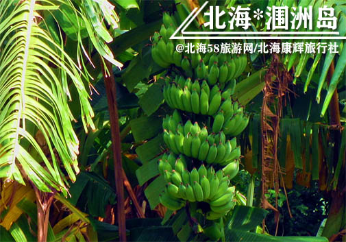 北海涠洲岛上吃东西贵吗,北海康辉旅行社