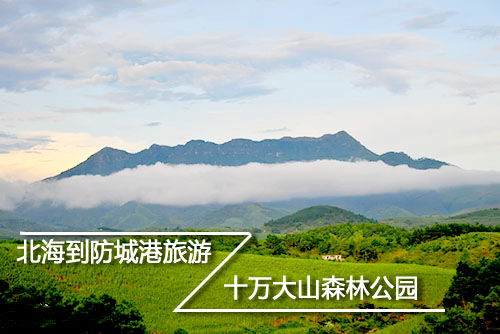 北海到十万大山旅游,北海旅游
