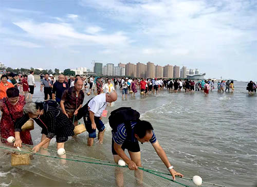 北海赶海挖螺,北海旅游