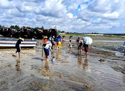 北海赶海挖螺,北海旅游