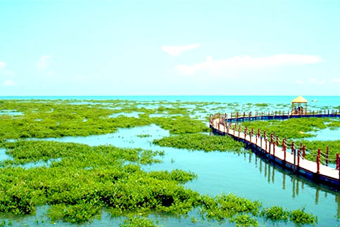 北海红树林怎么样,门票多少钱,北海旅游