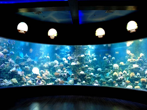 北海海洋之窗,北海旅游景点