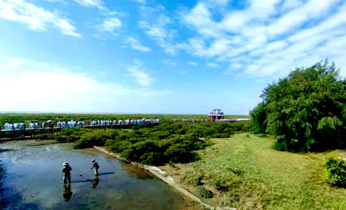 北海红树林,北海旅游景点