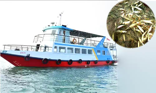 北海出海捕鱼