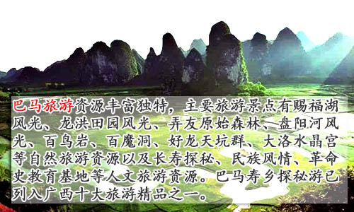 巴马