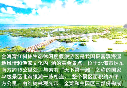 北海金海湾红树林