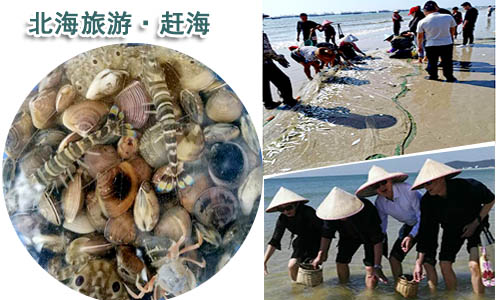乌鲁木齐到北海旅游团价格_路线