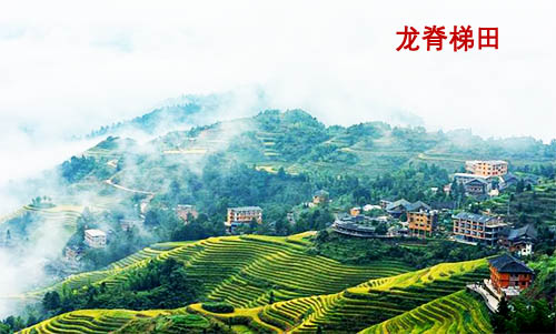 北海到桂林龙脊梯田有多远,怎么走