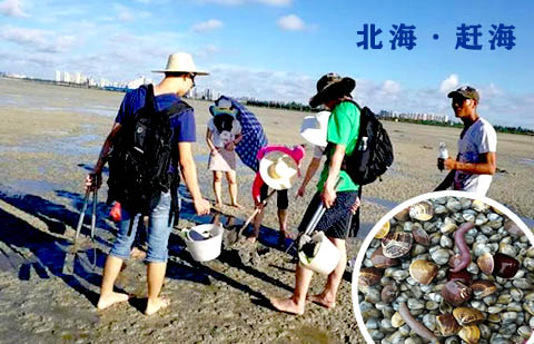 北海除了涠洲岛还有哪些地方好玩