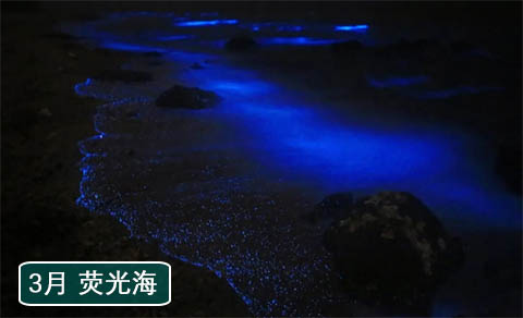 北海涠洲岛旅游攻略