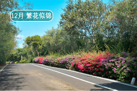 北海涠洲岛旅游攻略